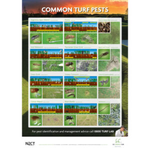 Common Turf Pests Poster