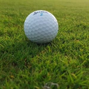 NZSTI Package - Golf Green Audits