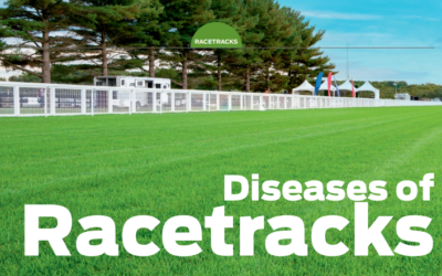 Diseases of Racetracks – What to look out for this summer!