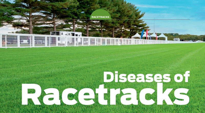Diseases of Racetracks – What to look out for this summer!