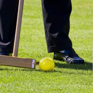 NZSTI Croquet Full Advisory Package